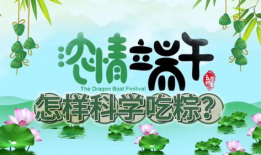 端午节视频,传承民俗，共赏龙舟竞渡盛况