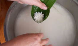 包粽子教程视频,视频教程详解