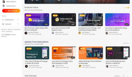 网页视频,一窥精彩瞬间